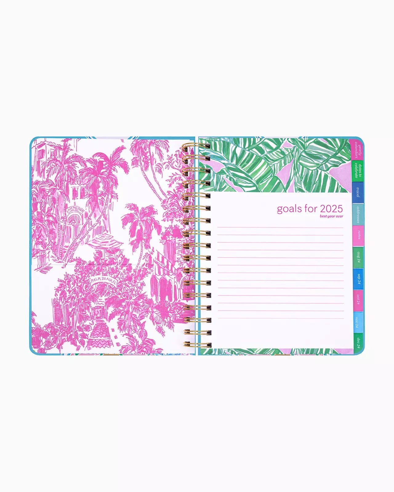 Multi Calypso Sun Engineered Home | Lilly Pulitzer 2024-2025 17 Month Large Agenda