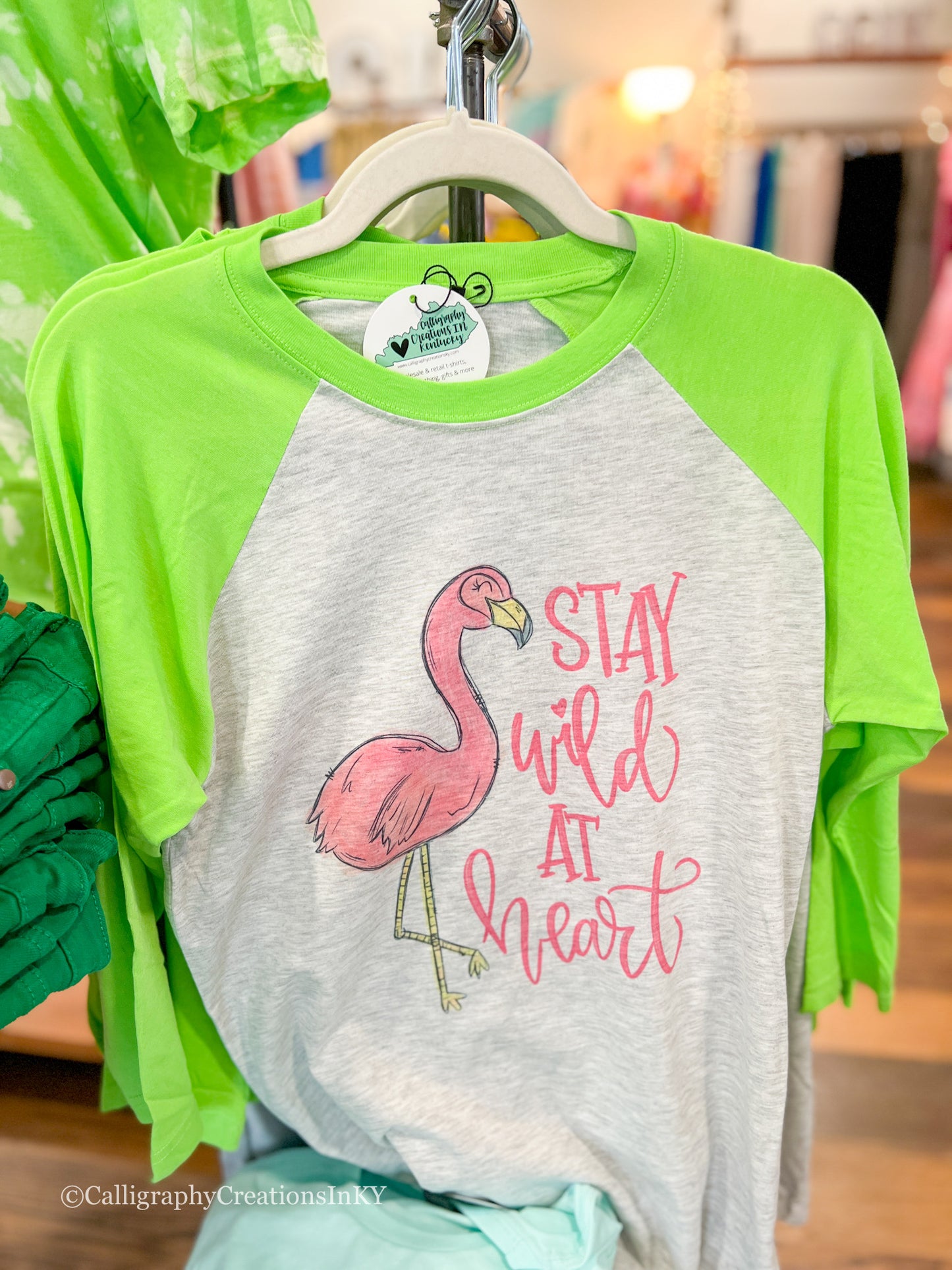 Stay Wild Flamingo Raglan - FINAL SALE