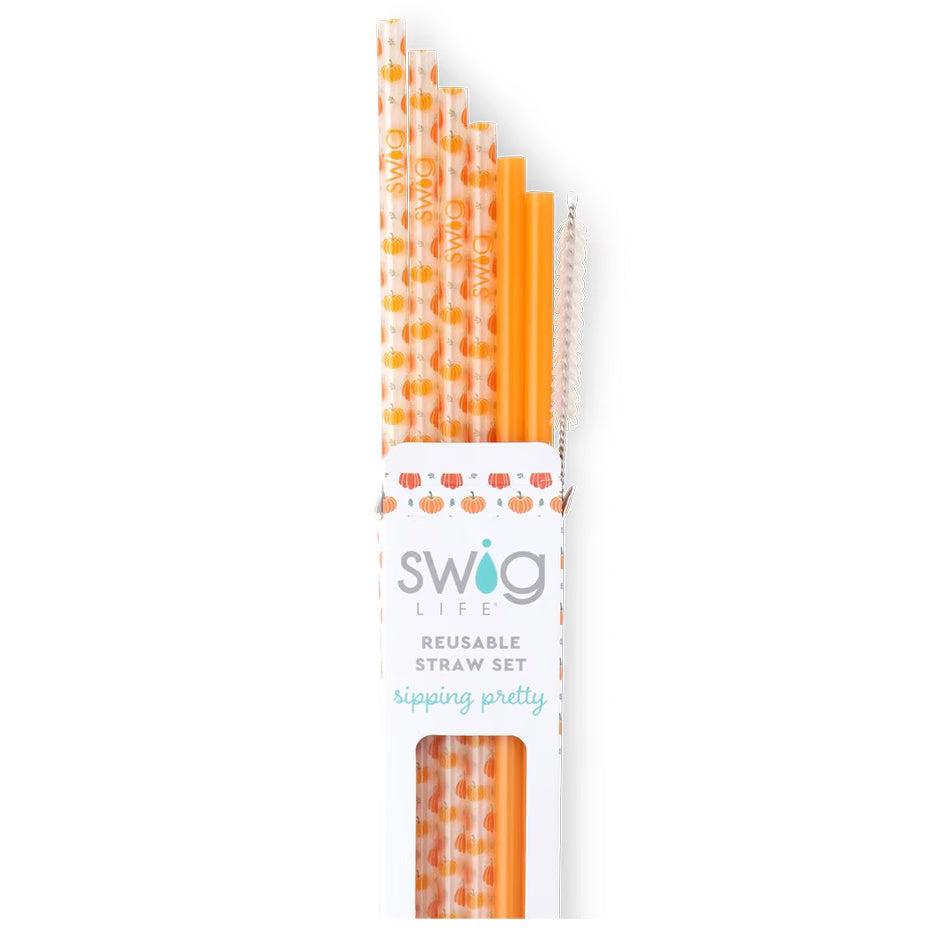 Pumpkins + Orange Swig Reusable Straw Set